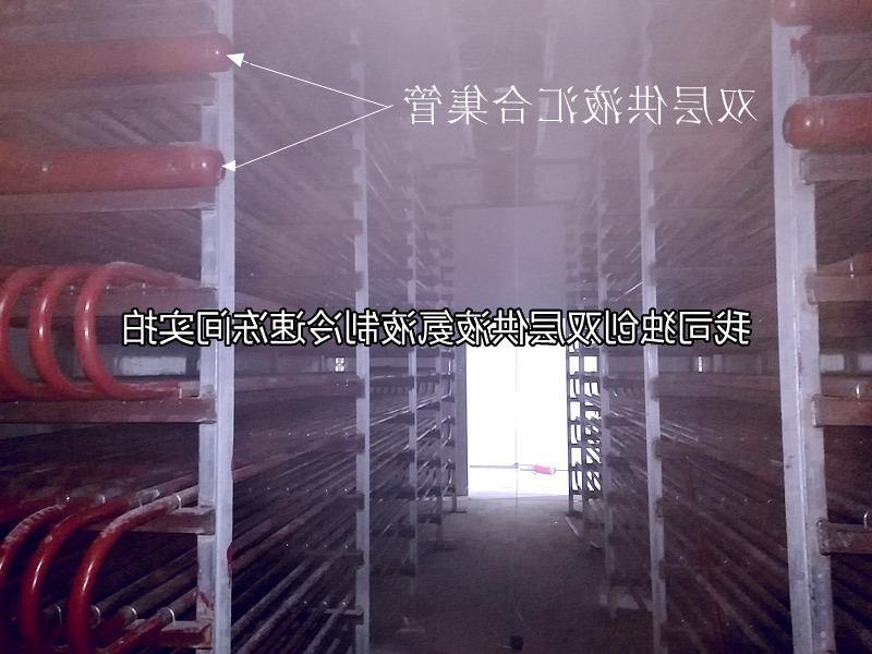 喀什地区牛羊屠宰加工企业案例